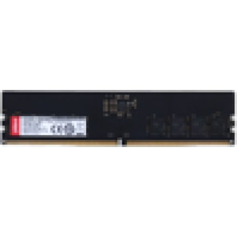 RAM Dahua C500U16G48