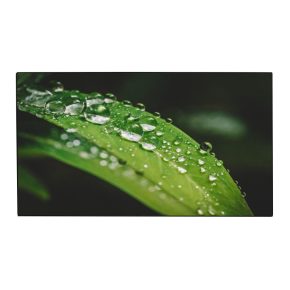 Dahua Videofal kijelző 55 LS550KDH-UF, 24/7, UHD, 700"