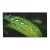 Dahua Videofal kijelző 55 LS550KDH-UF, 24/7, UHD, 700"